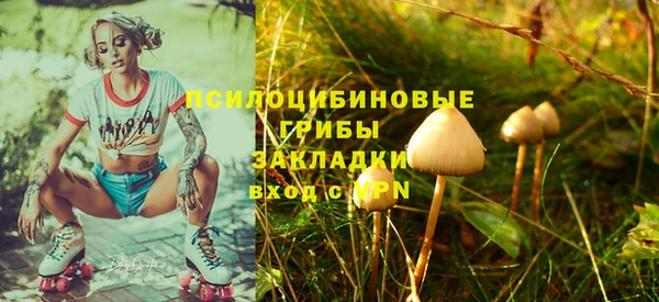 spice Верея