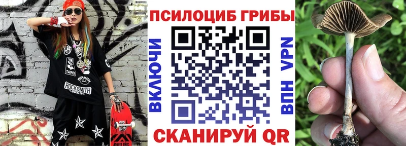 OMG как войти  Емва  Галлюциногенные грибы ЛСД 